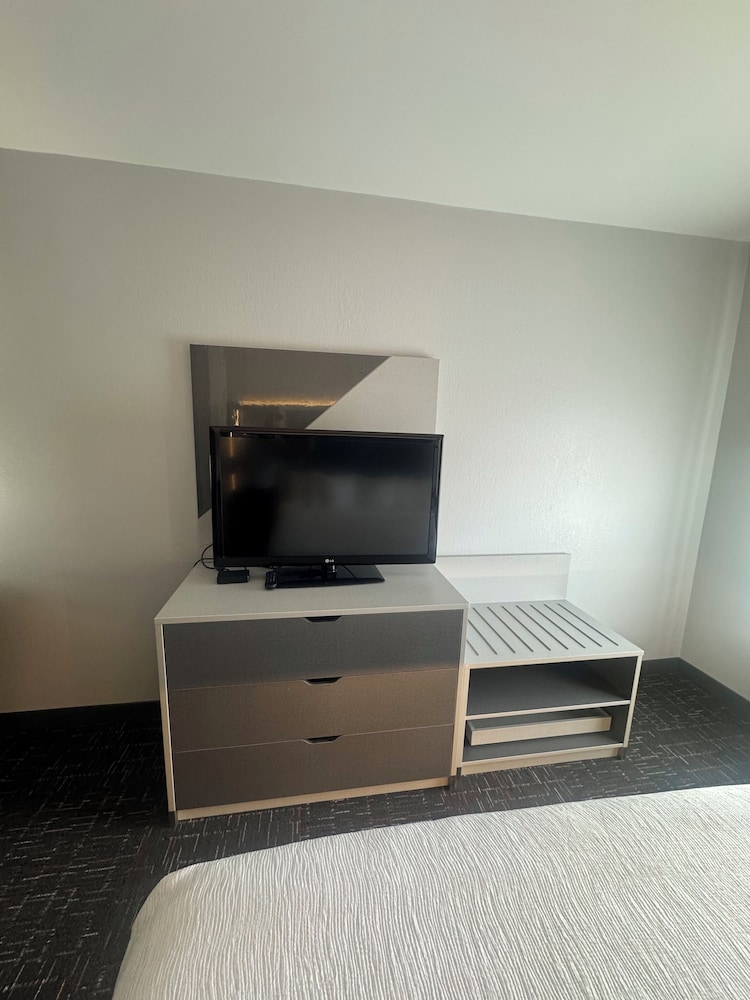 Presidential Suite, King Bed With Sofa Bed photo 2