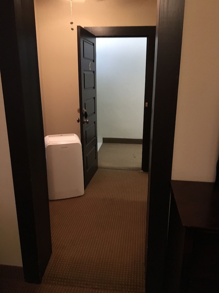 Suite, 1 King Bed photo 3