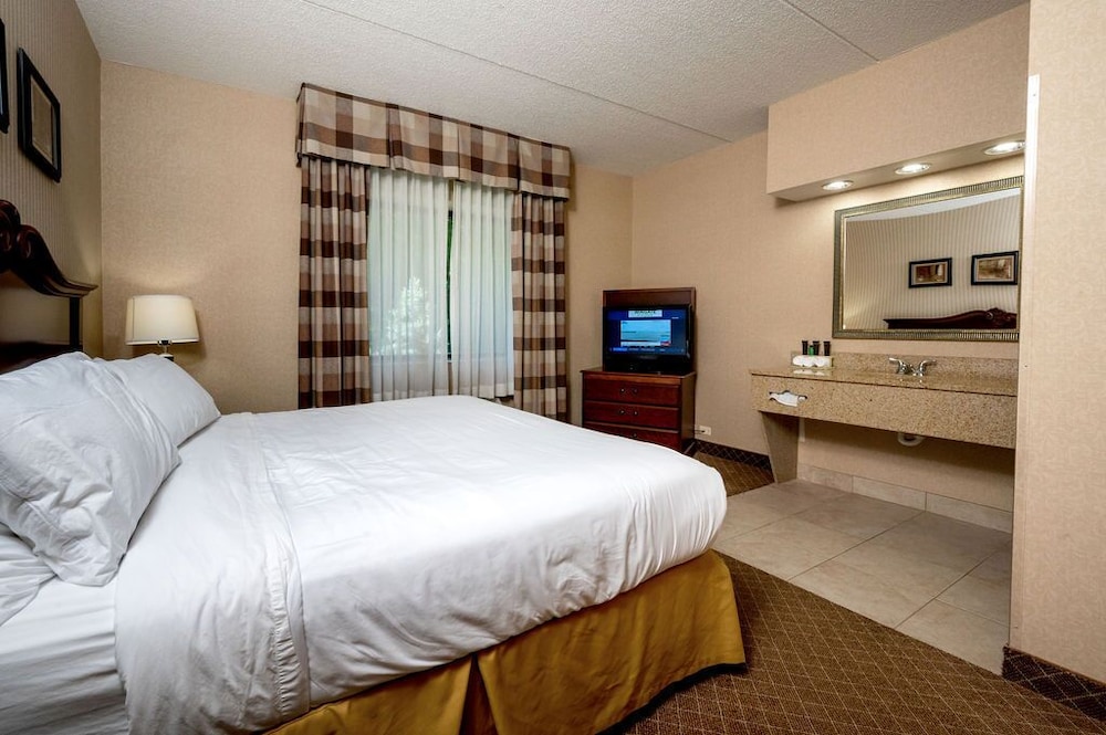 Room, 1 King Bed, Accessible, Non Smoking (Mobility, Roll-In-Shower)