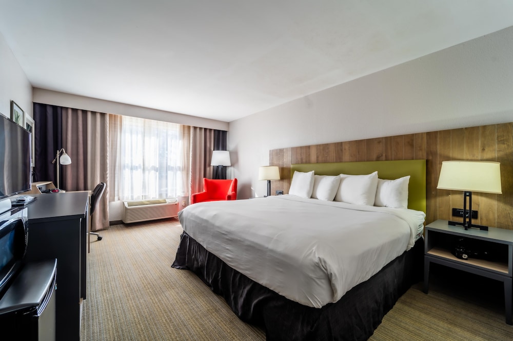 Room, 1 King Bed, Non Smoking - Photo 4