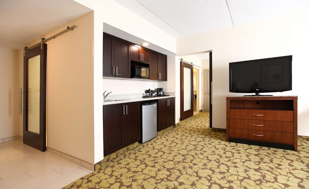 Suite, 1 King Bed photo 3