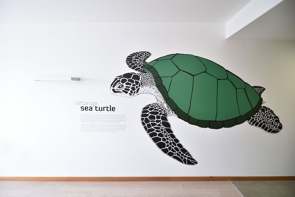 Double Room, 1 Double Bed, Private Bathroom, Sea View (Sea Turtle) photo 3