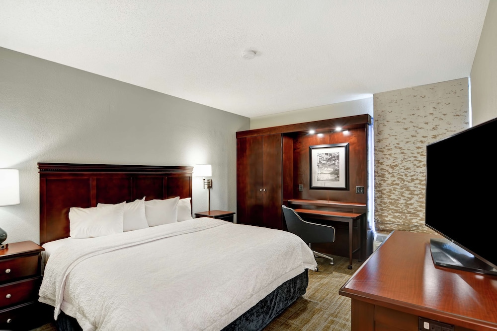 Room, 1 King Bed, Accessible, Bathtub - Photo 4