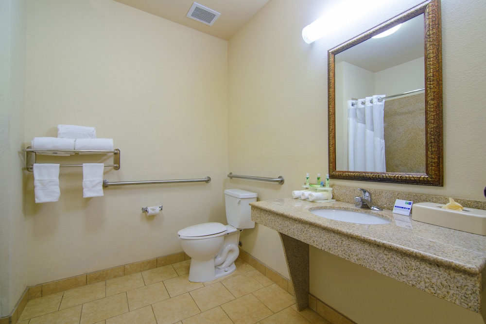Suite, 1 King Bed, Accessible (Communications Accessible)