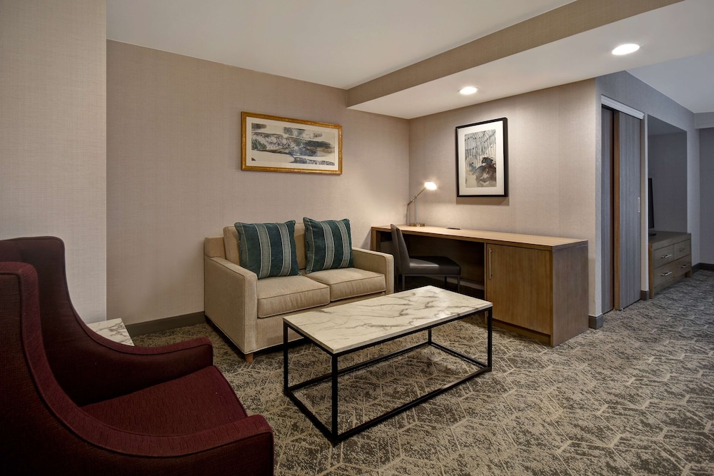Studio Suite, 1 King Bed, Accessible, Bathtub - Photo 1