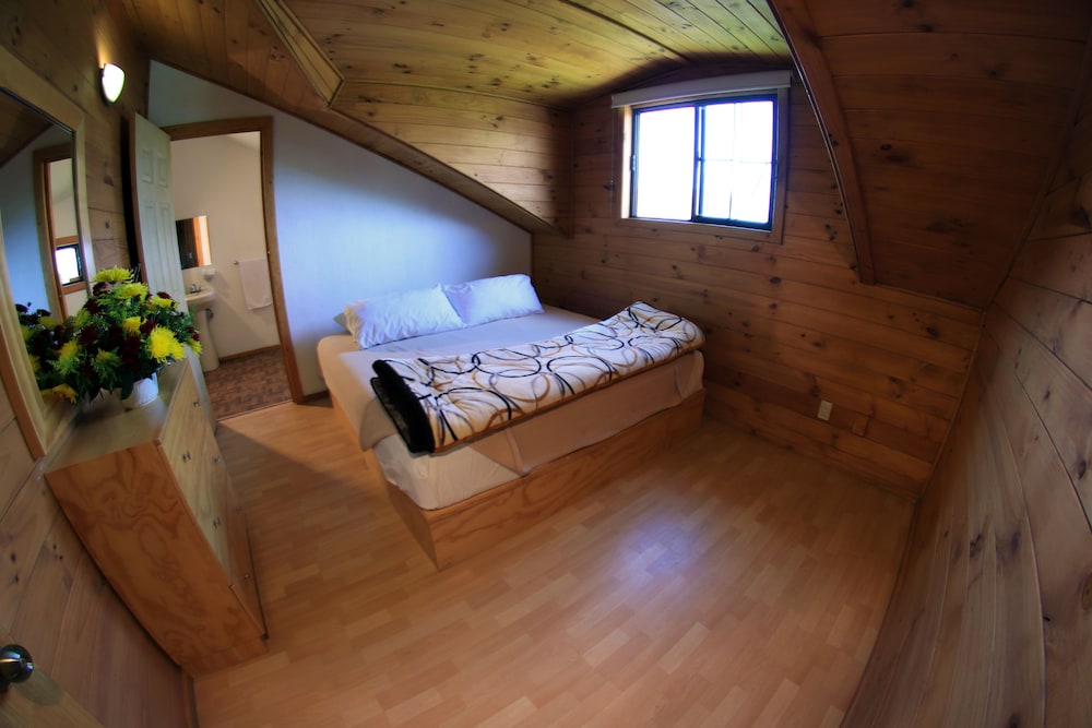 Family Cabin, Non Smoking (1 king bed) photo 2