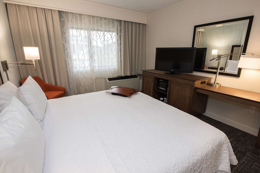 King Room, Accessible, Bathtub