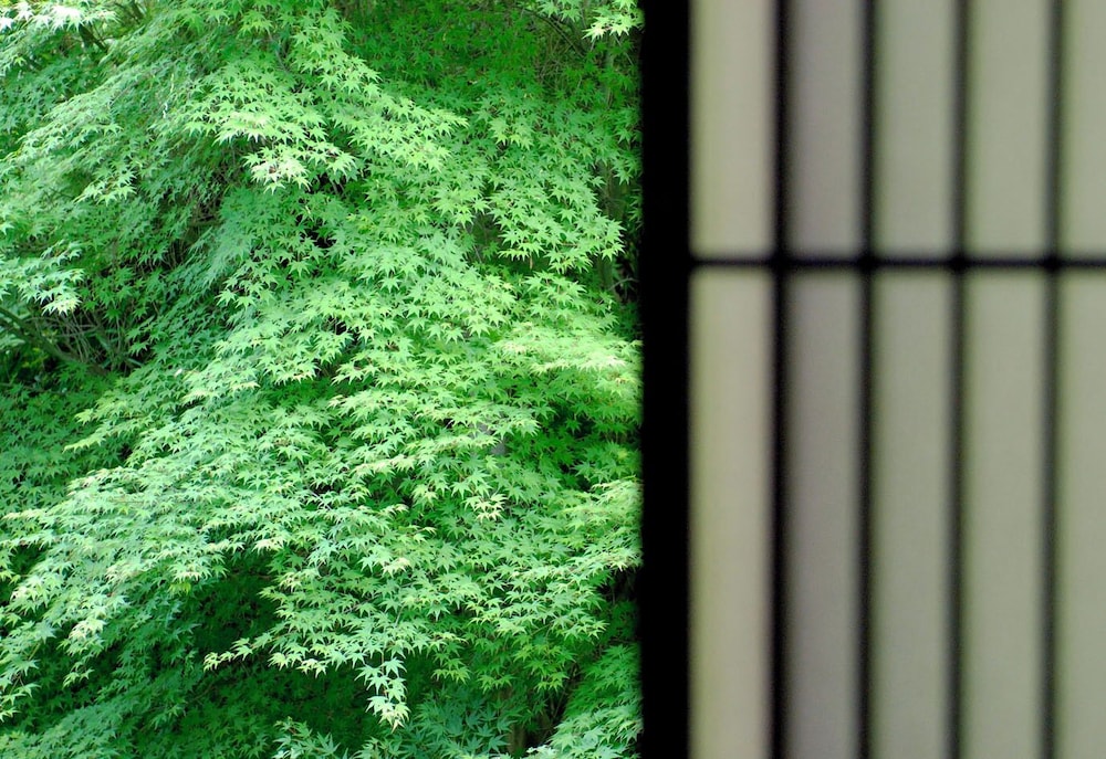 Quadruple Room with Kotatsu (Yama-no-Iori) Non smoking photo 3