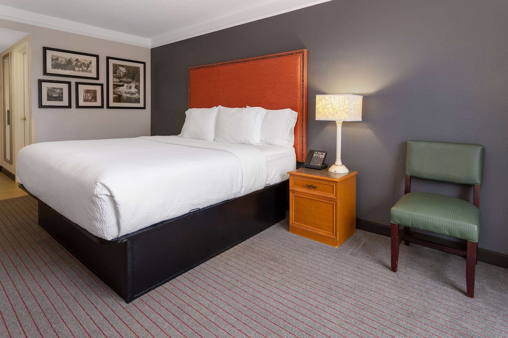 Suite, 1 King Bed, Non Smoking - Photo 1