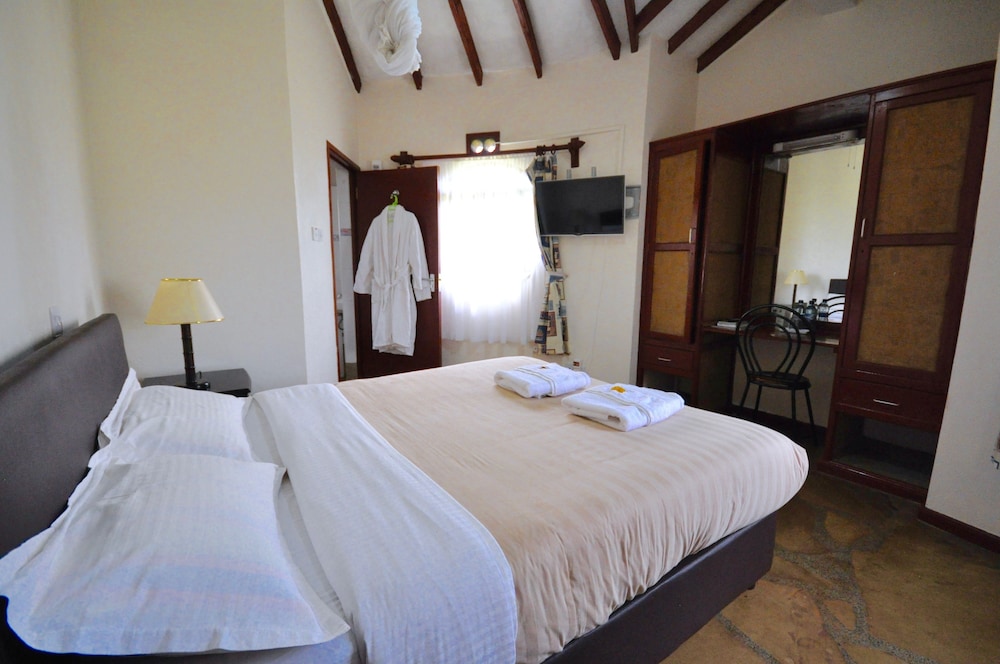 Superior Room photo 3
