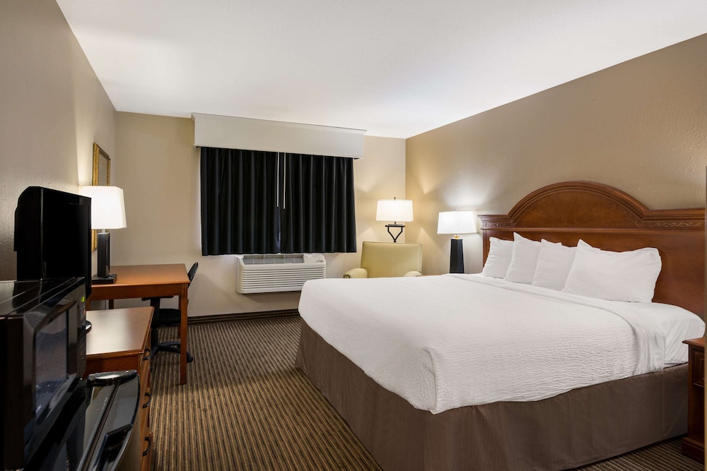 Standard Room, 1 King Bed, Accessible, Refrigerator & Microwave photo 3