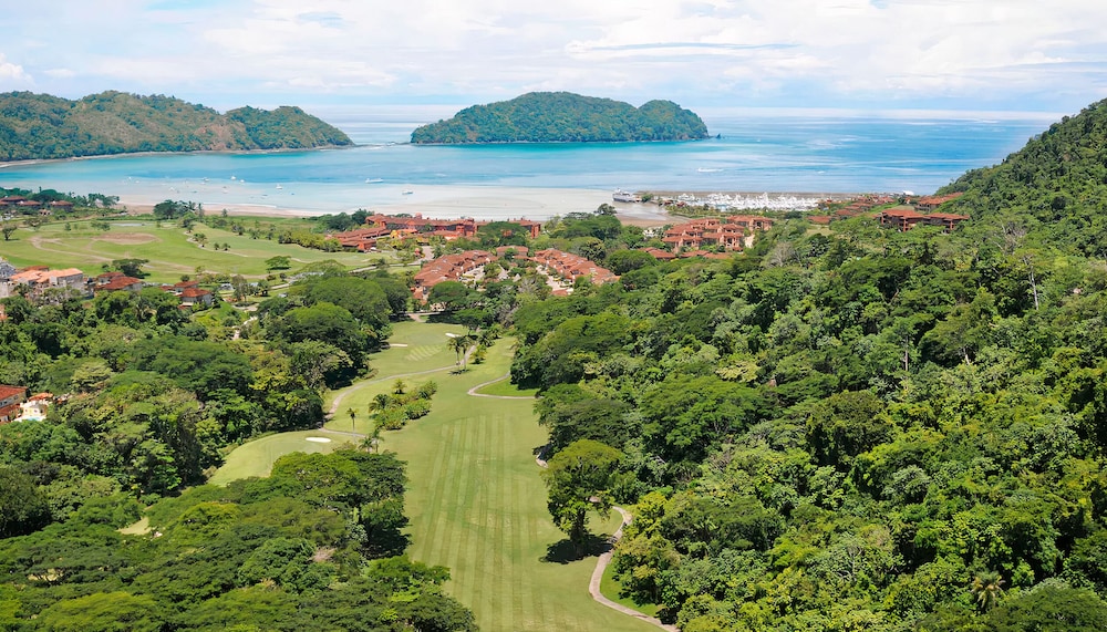Luxury Villa photo 3