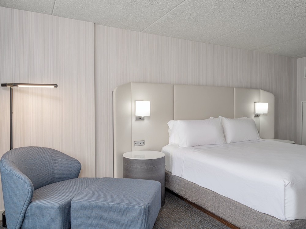 Suite, 1 Bedroom photo 2