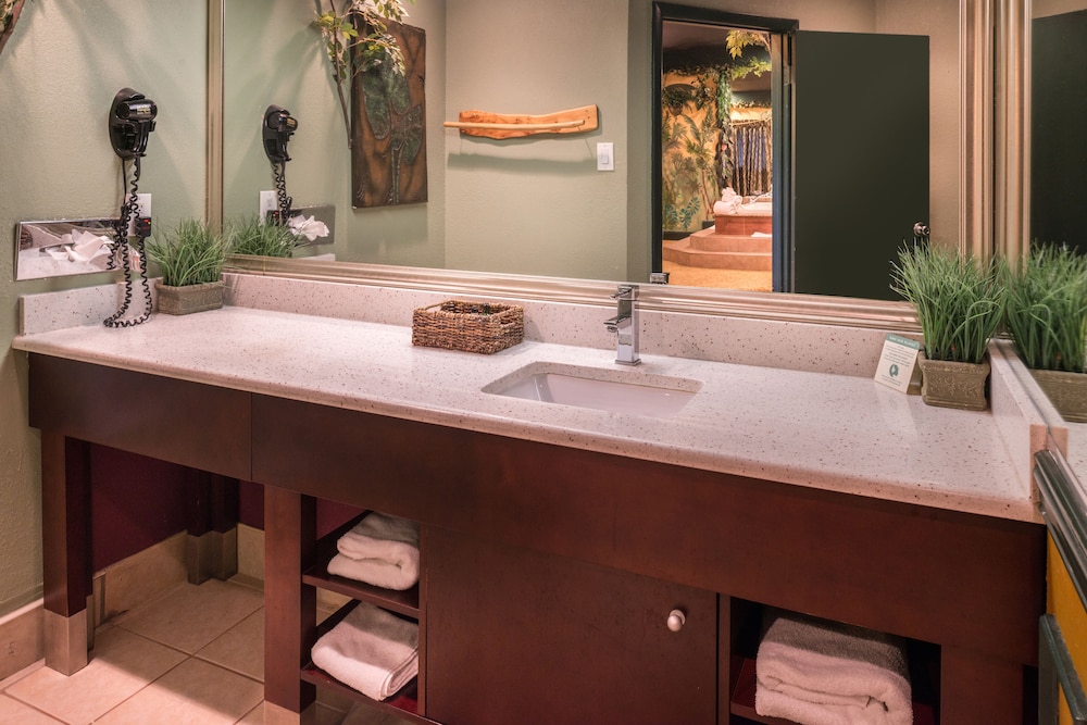 Jungle Theme Suite with Jetted Tub & Fireplace (Featured on Travel Channel in 2016) - Photo 4