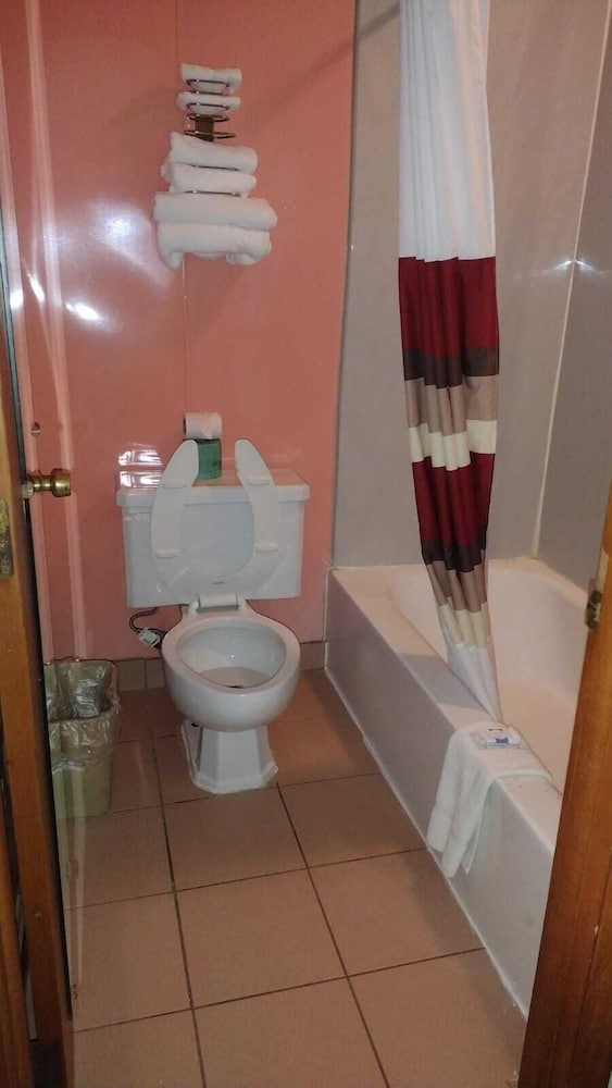 Basic Single Room photo 2