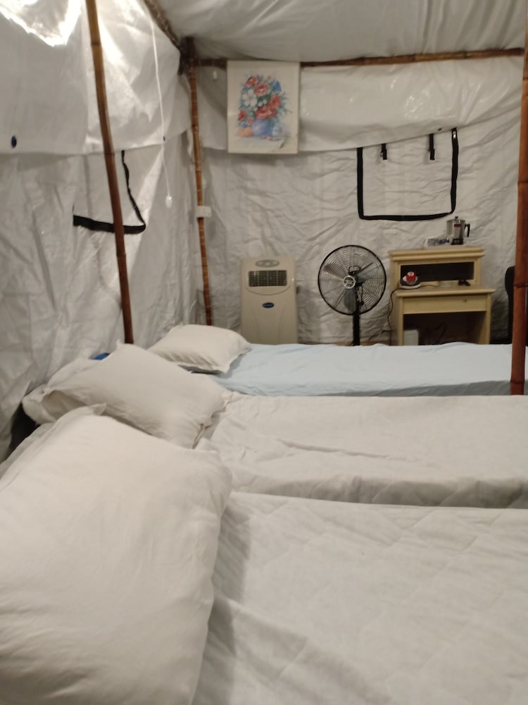 Basic Tent, 1 Bedroom, Shared Bathroom, Garden View photo 1
