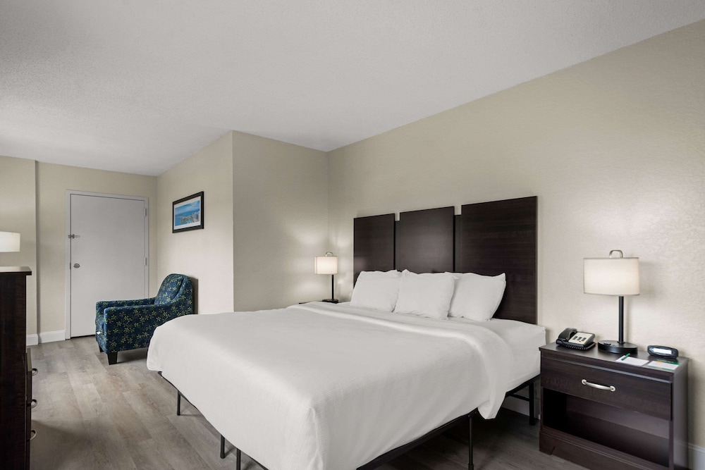 Room, 1 King Bed, Accessible, Non Smoking