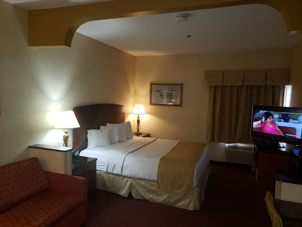 One Bed Suite photo 1