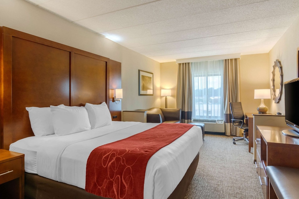 Studio Suite, 1 King Bed with Sofa bed, Accessible (Mobility and Hearing Accessible) - Photo 6