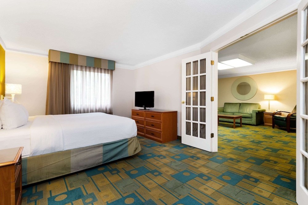 Deluxe Suite, 1 King Bed, Non Smoking - Photo 3
