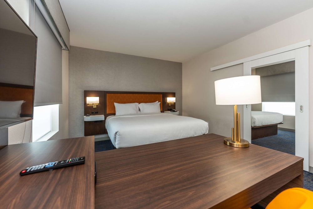 Suite, 1 King Bed, Accessible, Refrigerator & Microwave (Refrigerator & Microwave) - Photo 4