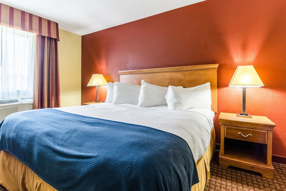 Standard Room, 1 King Bed, Smoking - Photo 3