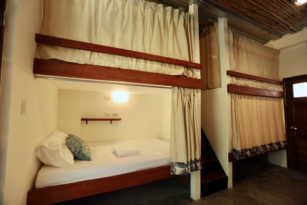 Deluxe Shared Dormitory, Mixed Dorm photo 3