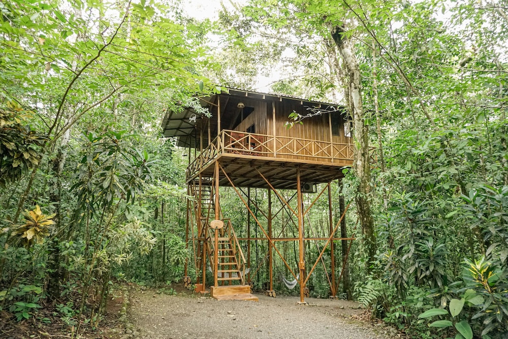 The Monkey Tree House photo 3