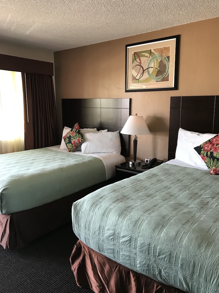 Classic Double Room, 1 Bedroom photo 3