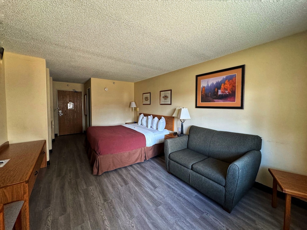 Standard Suite, 1 King Bed with Sofa bed photo 1