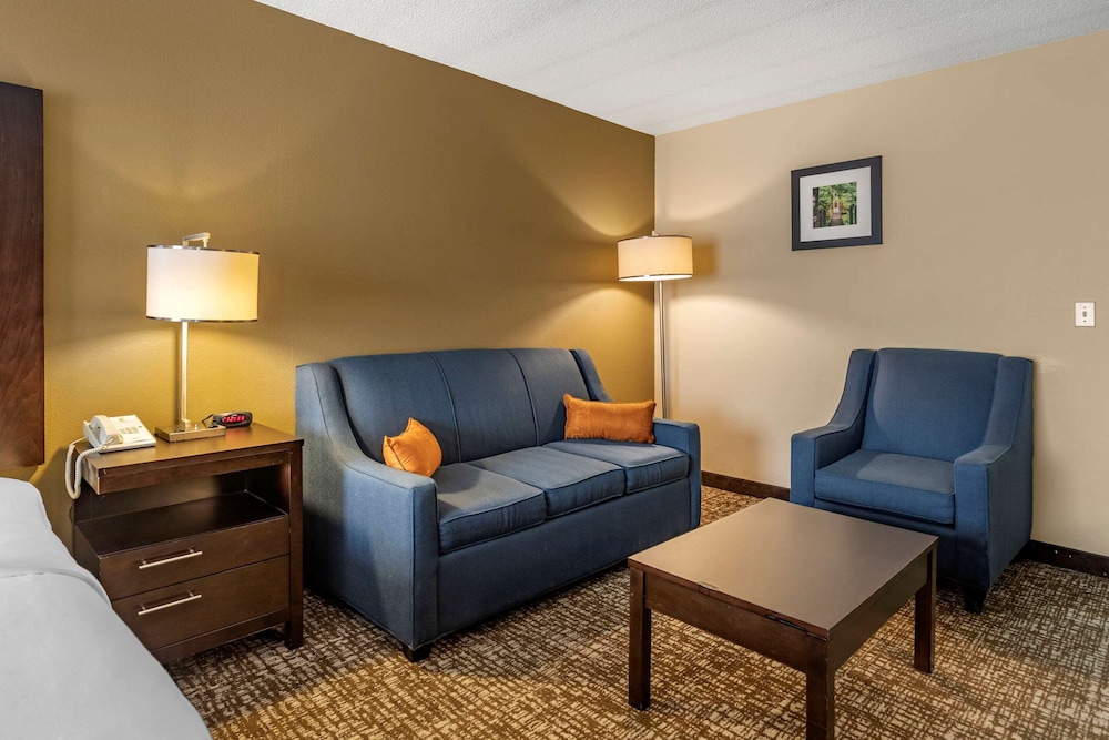 Business Suite, 1 King Bed - Photo 2
