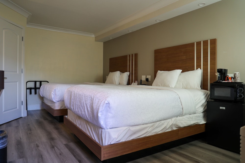 Standard Room, 2 Double Beds, Non Smoking