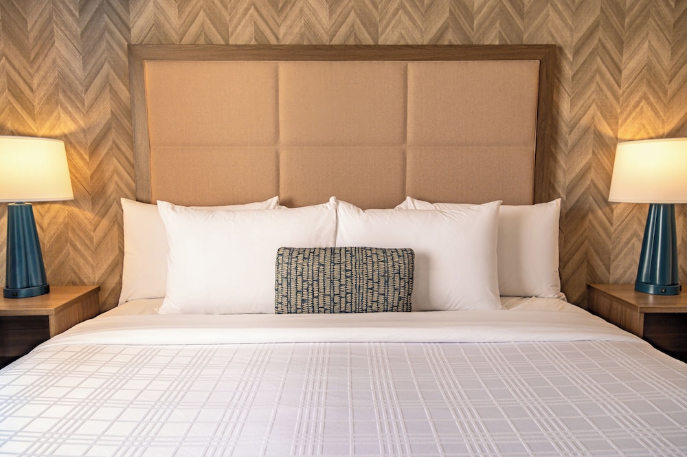 Standard Suite, 1 King Bed with Sofa bed photo 3