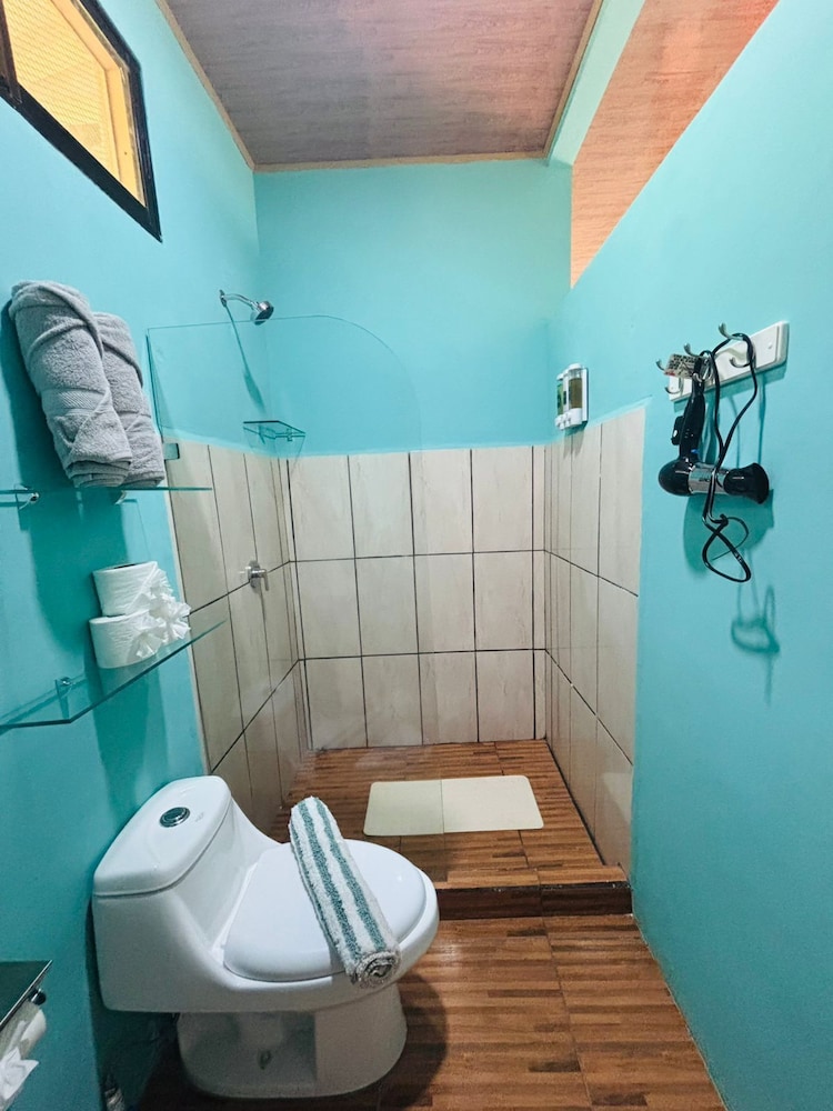 Room Toucan photo 2