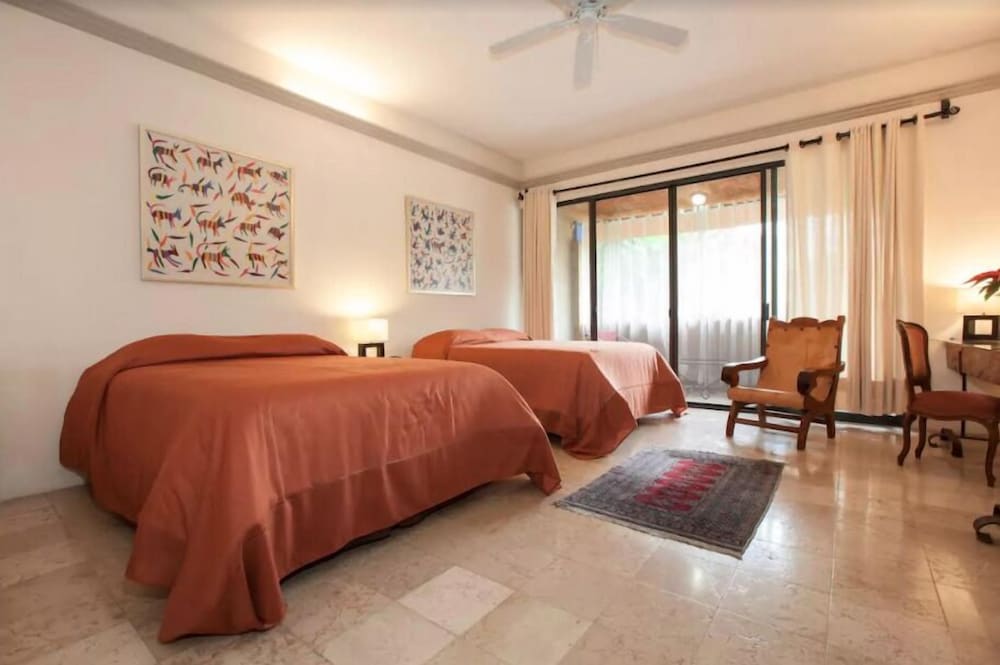 Suite (Laelia) photo 2