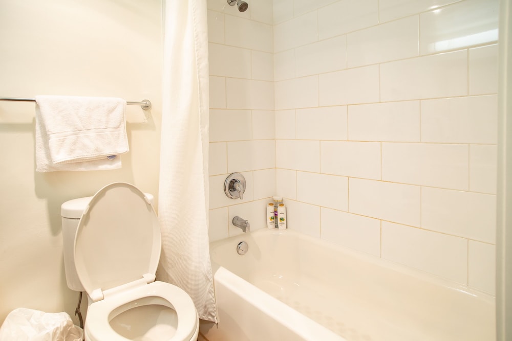 Suite, 1 Bedroom photo 2