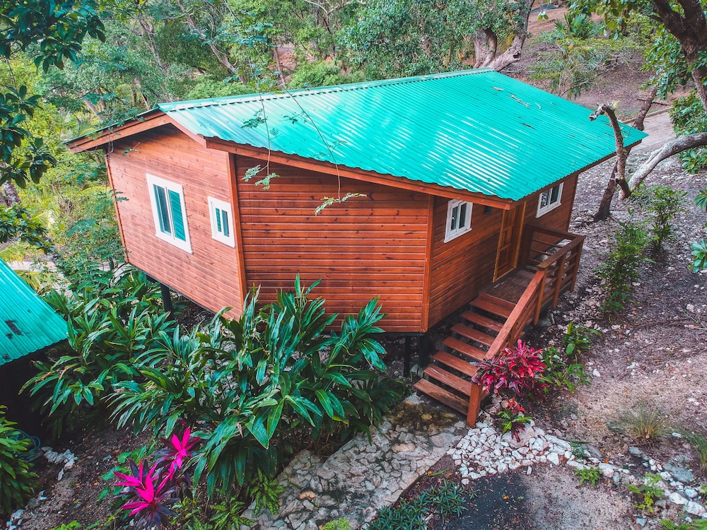 Luxury Tree House, 1 King Bed, Sea View photo 2