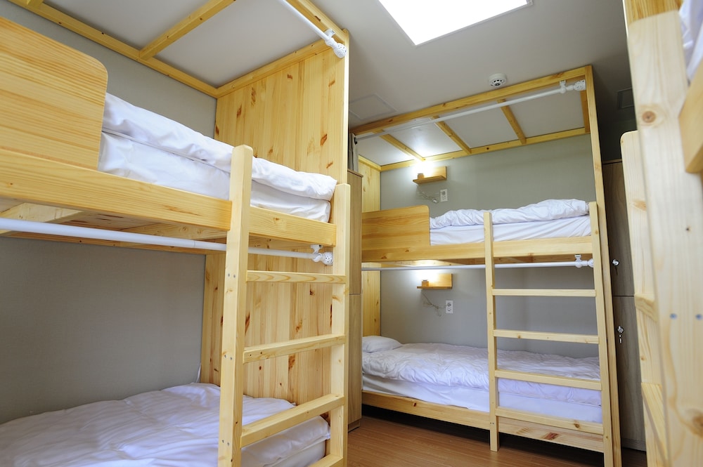 Shared Dormitory, Women only (6 Persons) photo 1
