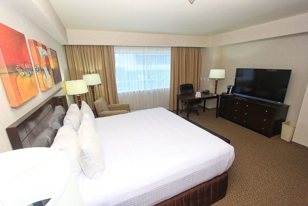 Suite, 1 King Bed - Photo 12