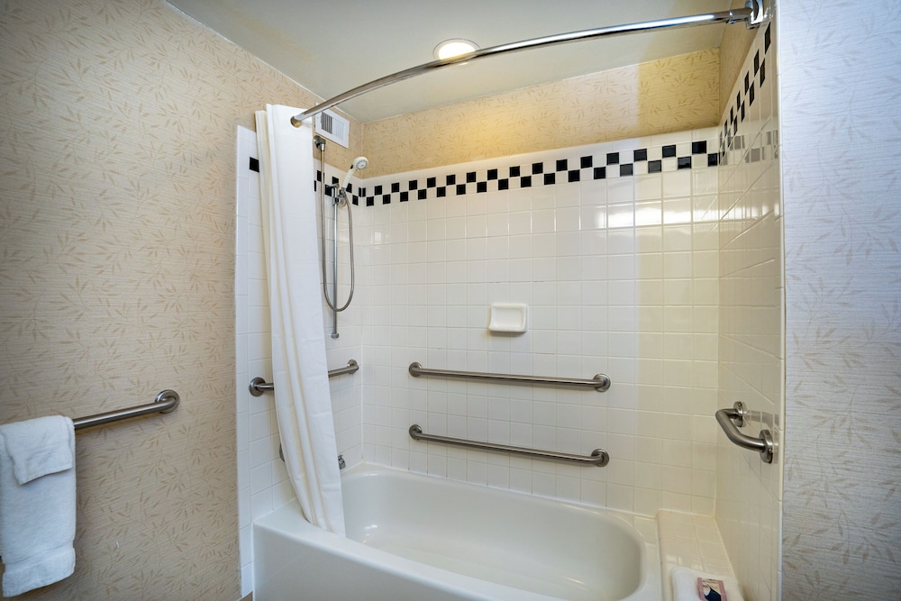 Standard Room, 1 King Bed, Accessible - Photo 5