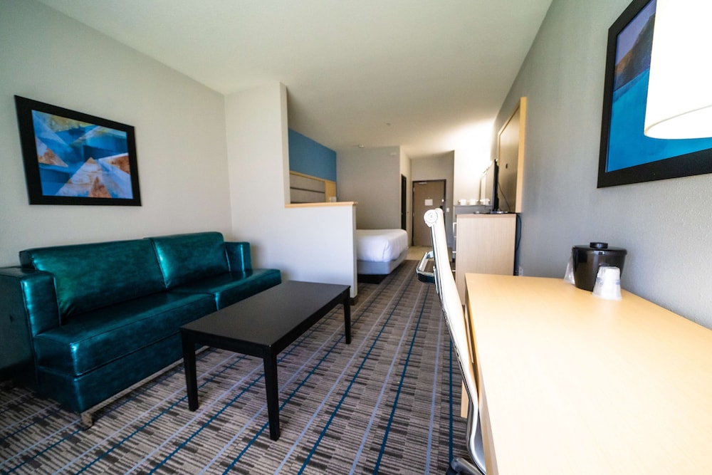 Standard Room, 1 King Bed, Non Smoking, Refrigerator & Microwave (Pet Friendly;with Sofabed) - Photo 2