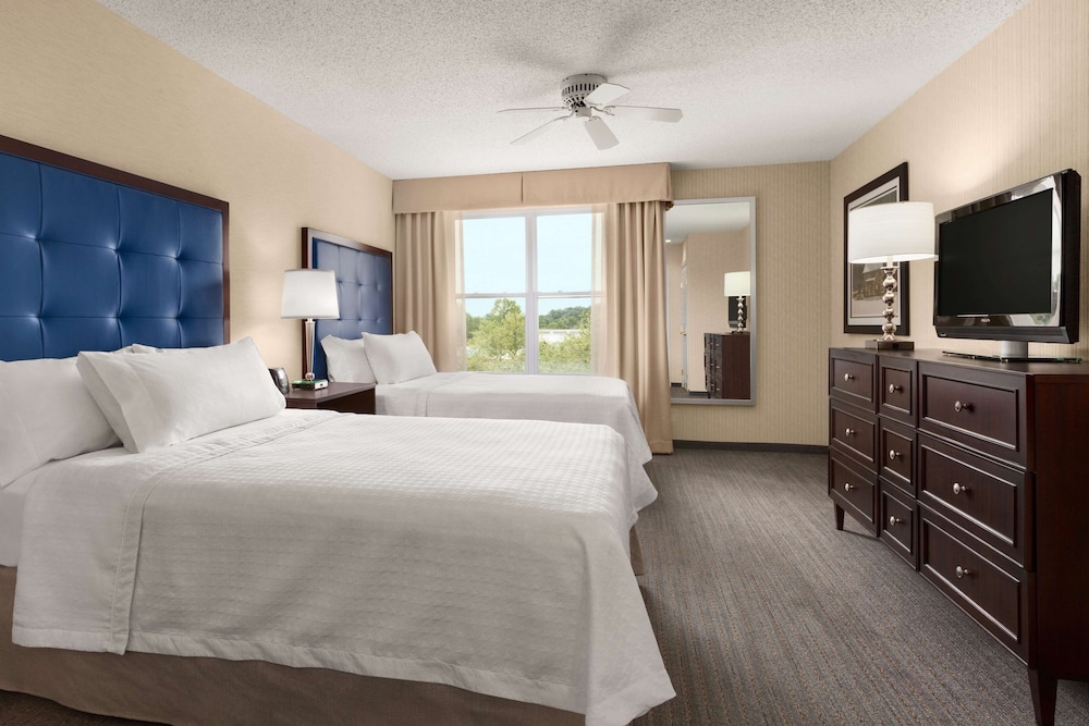 Suite, 2 Double Beds, Accessible, Pool View photo 3