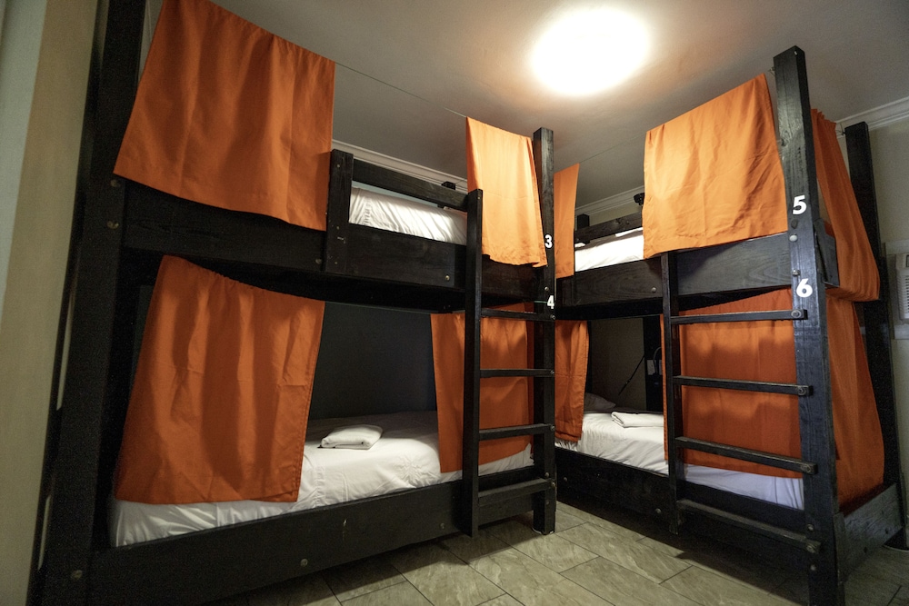 Mixed Dorm, Shared Dormitory (10 Beds Shared Bathroom) Sleeps 10 People photo 3