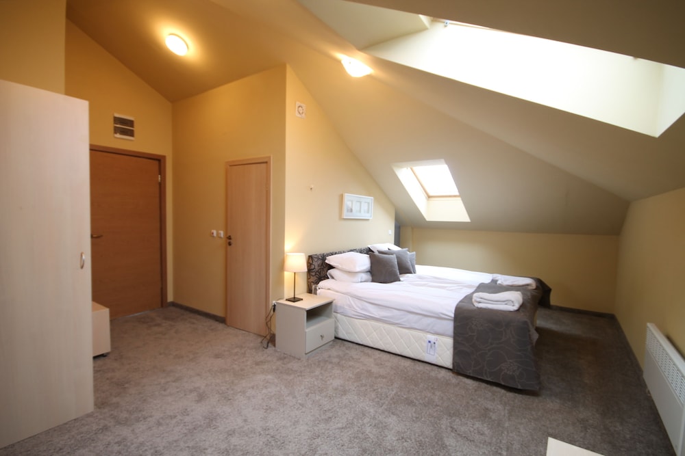Double Room (Mansard) photo 2