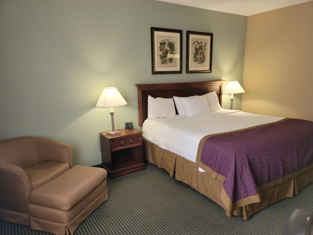 Deluxe Room, 1 King Bed photo 1
