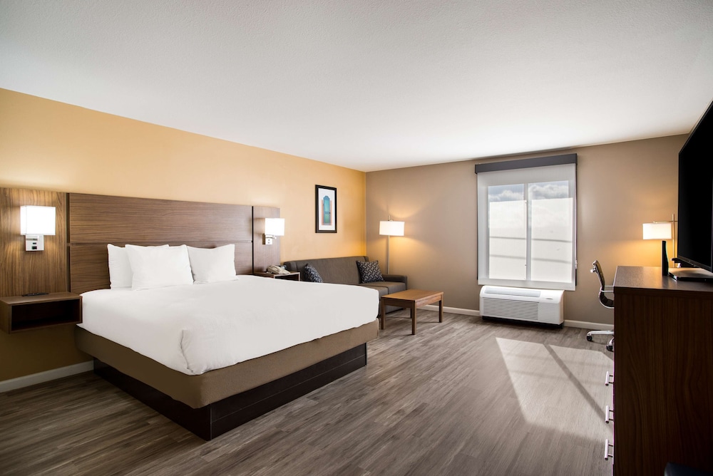 Standard Room, 1 King Bed, Non Smoking, Refrigerator & Microwave (with Sofabed) - Photo 1