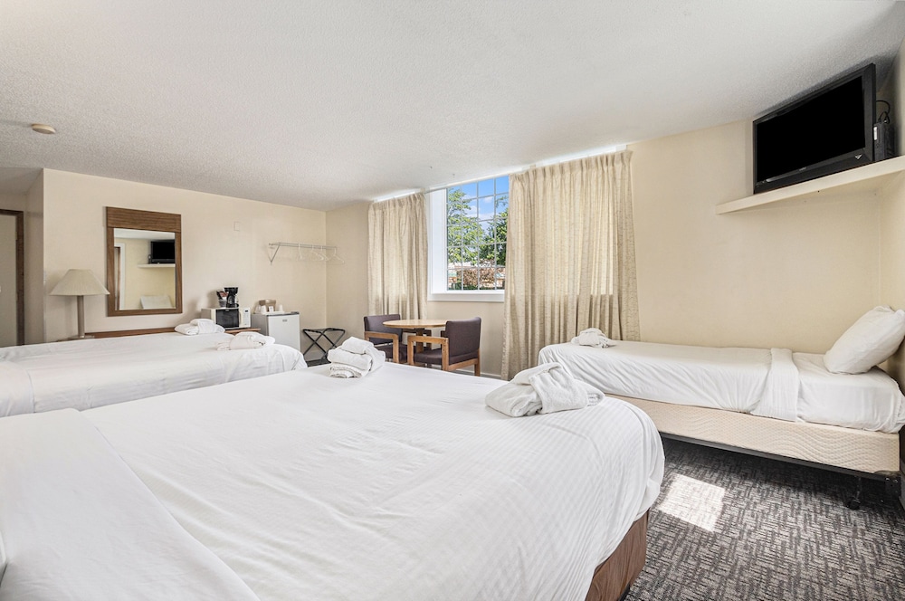 Basic Triple Room, Multiple Beds, Microwave photo 2