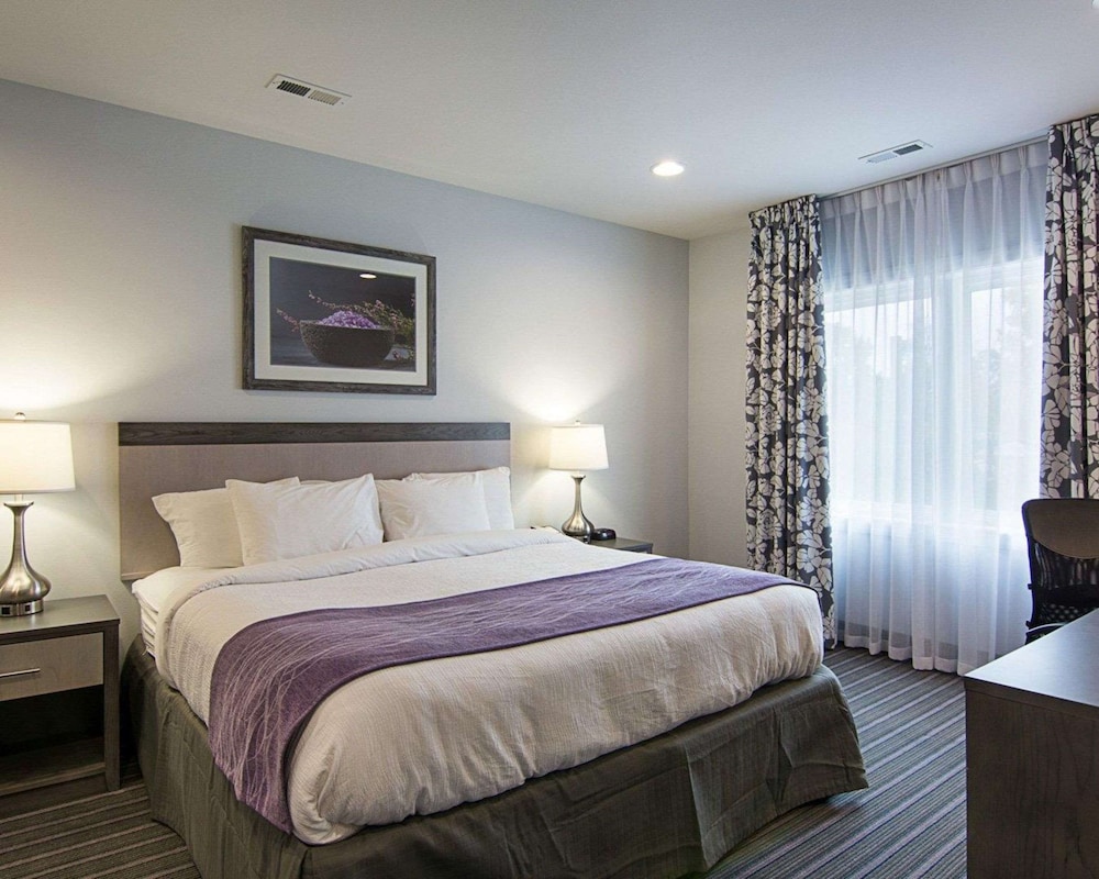 Suite, 1 Bedroom, Non Smoking - Photo 3