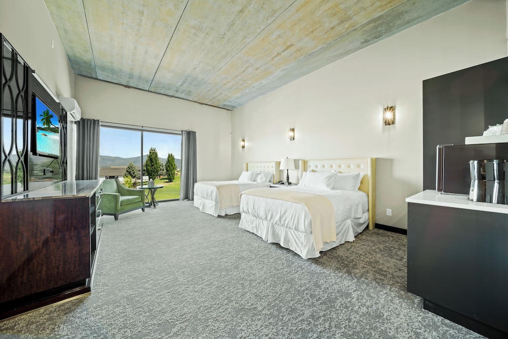 Single Room, 2 Queen Beds photo 1