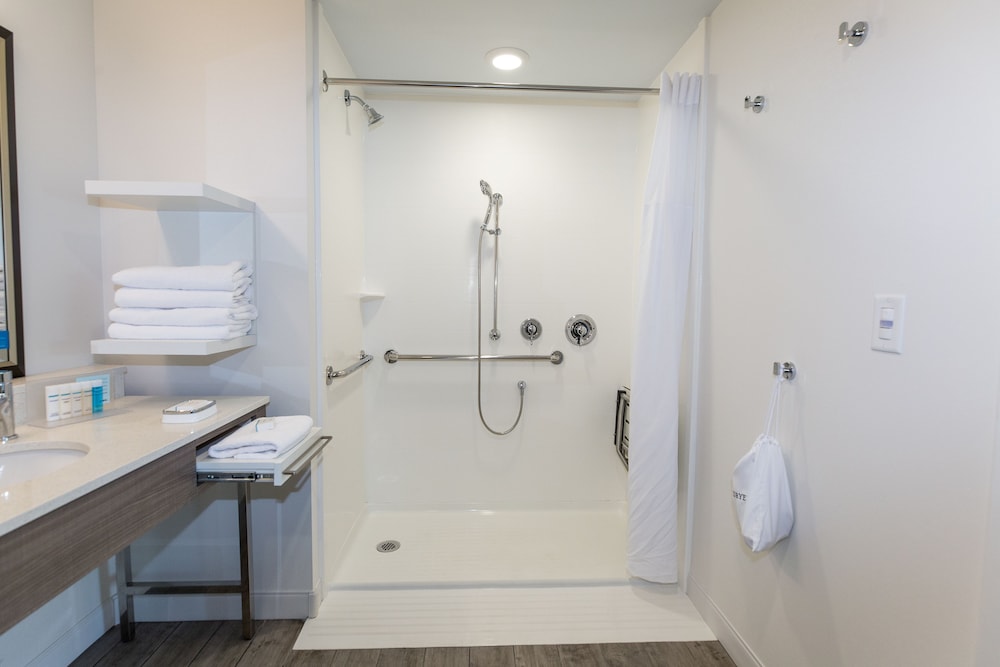 Studio, 1 King Bed, Accessible, Non Smoking (Roll-in Shower) - Photo 5